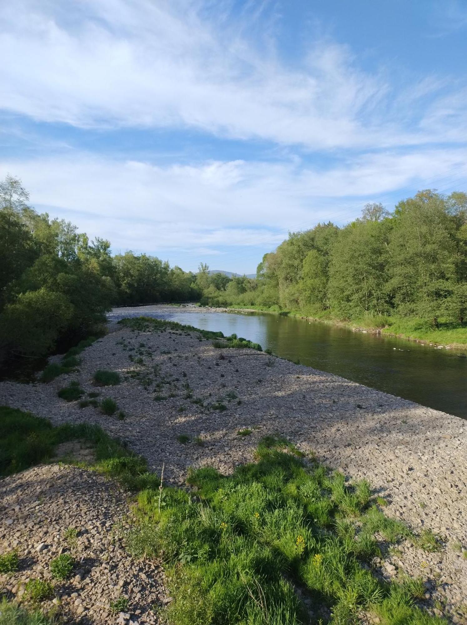 Domek Zgredek Żywiec Exteriör bild