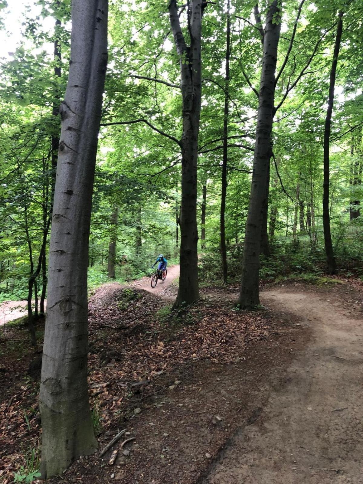 Domek Zgredek Żywiec Exteriör bild